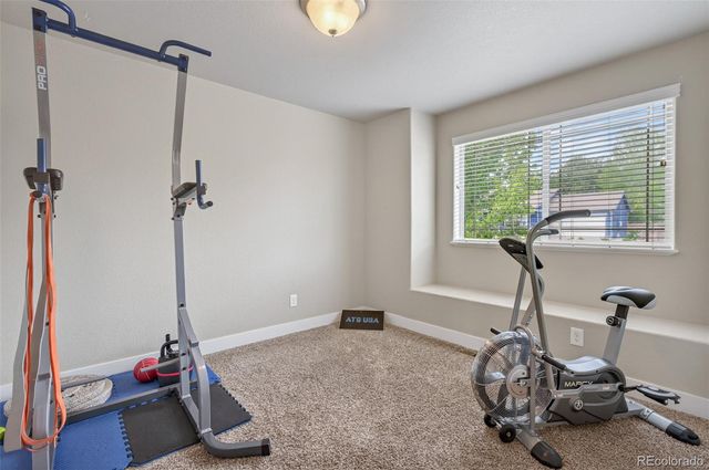 884 Cliffrose Way, Severance, CO 80550