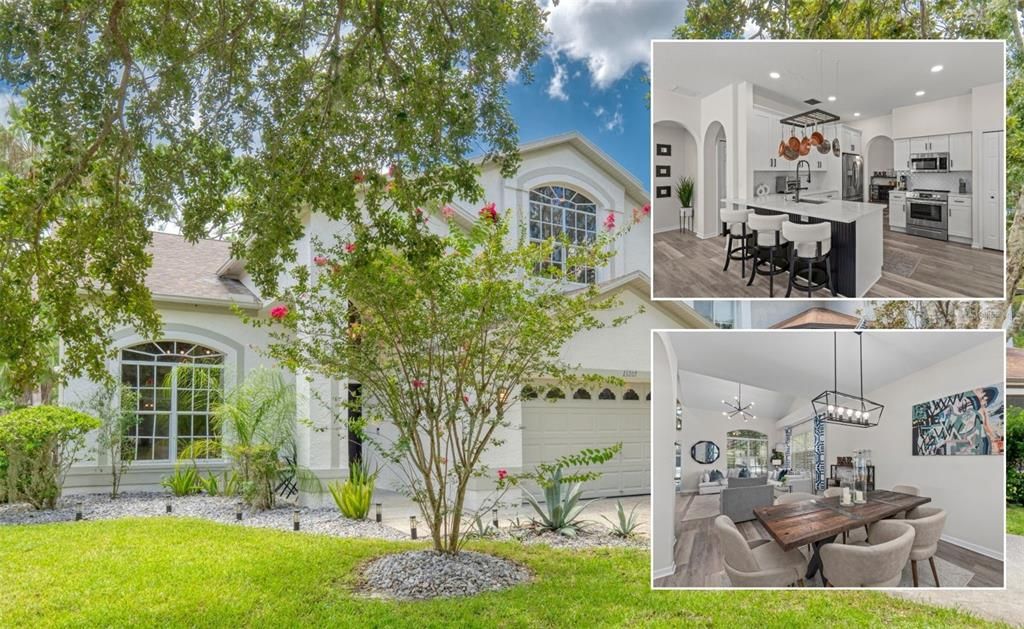 13207 ROYAL GEORGE AVENUE, Odessa, FL 33556