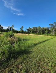 0 TBD ATES Road, Pineville, LA 71360