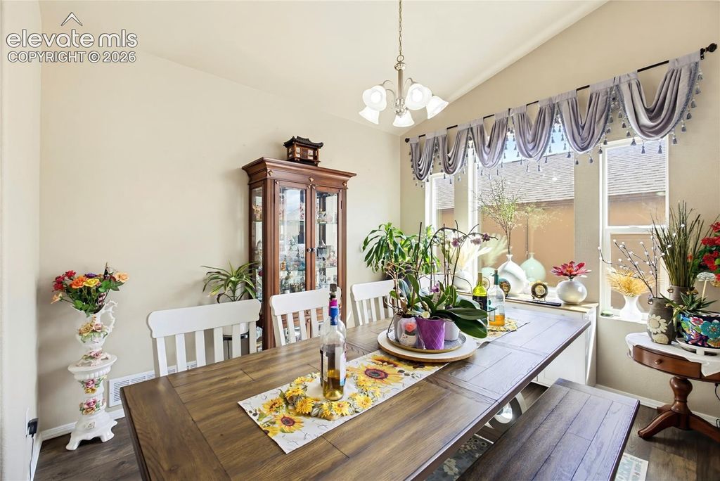 2586 Equine Court, Colorado Springs, CO 80922 — photo 5