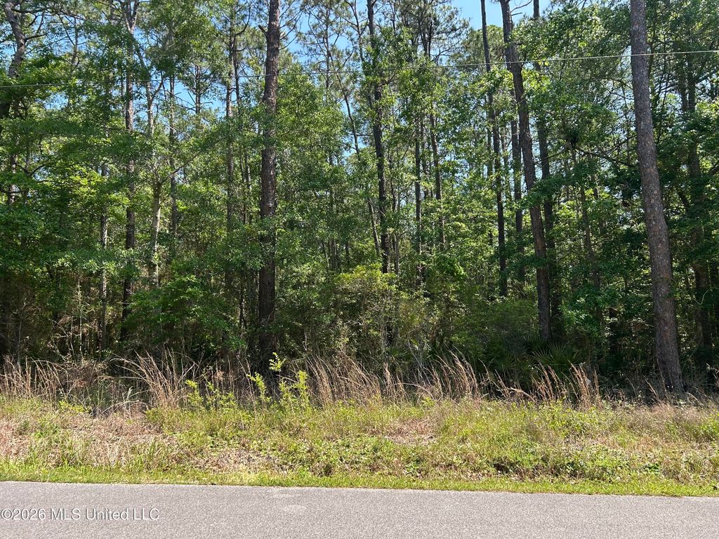 Sycamore, Ocean Springs, MS 39564