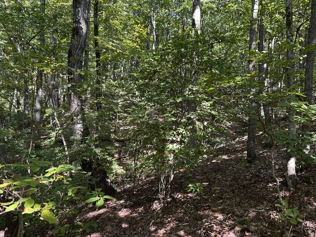 50 St Andrews Way, Ellijay, GA 30536