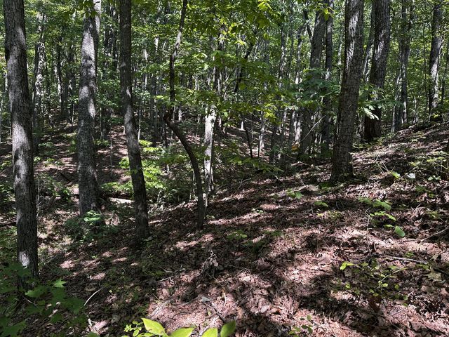 50 St Andrews Way, Ellijay, GA 30536