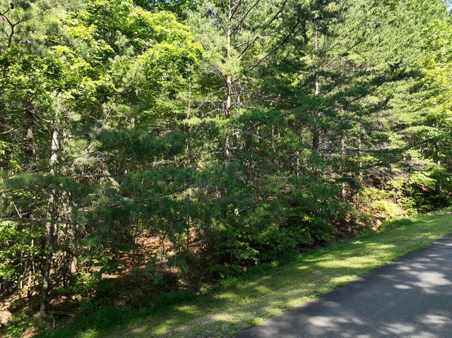 50 St Andrews Way, Ellijay, GA 30536