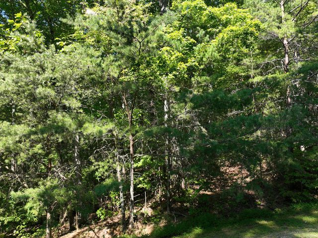 50 St Andrews Way, Ellijay, GA 30536