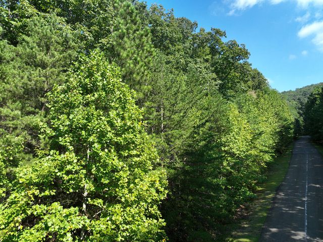 50 St Andrews Way, Ellijay, GA 30536
