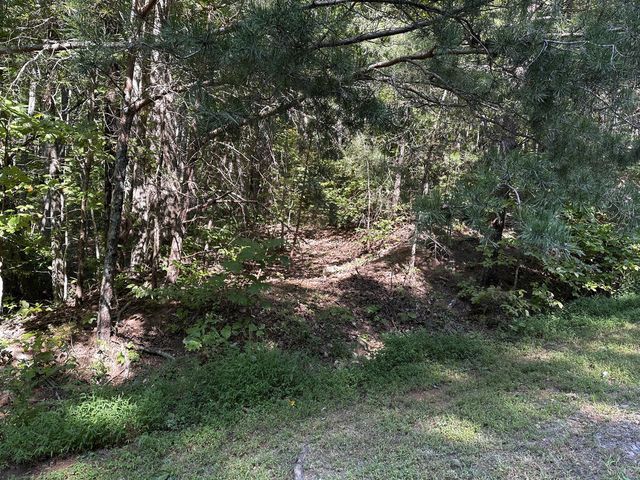 50 St Andrews Way, Ellijay, GA 30536
