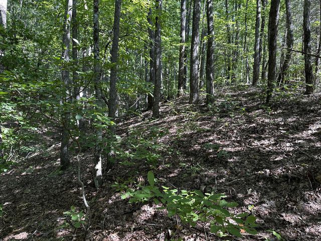 50 St Andrews Way, Ellijay, GA 30536
