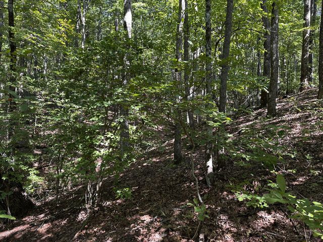 50 St Andrews Way, Ellijay, GA 30536