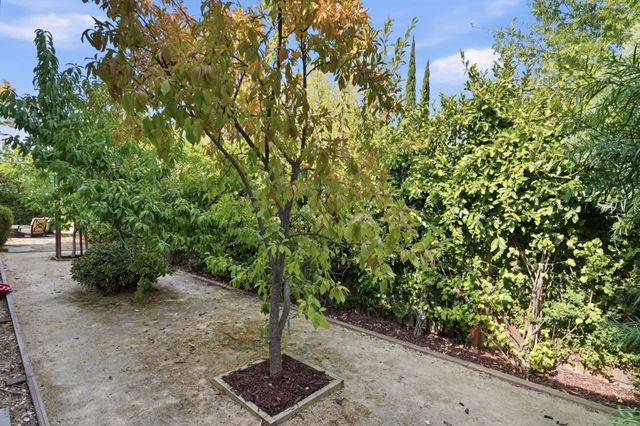 7098 Bret Harte Drive, San Jose, CA 95120