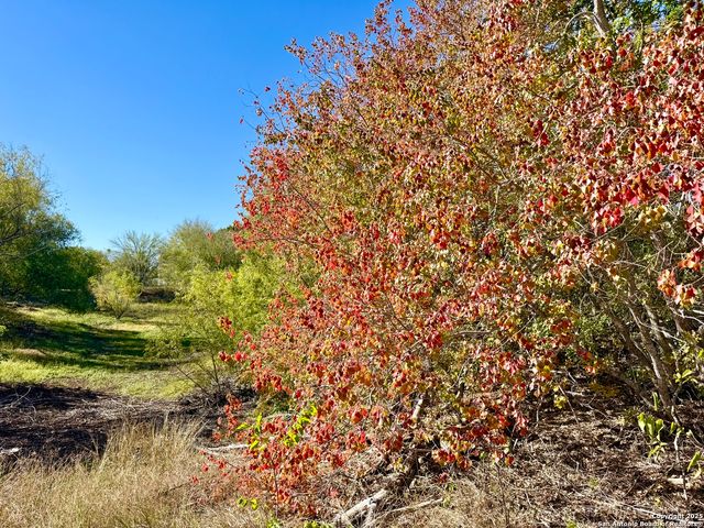 LOT 14 Northfield Subdivision unit two, Pleasanton, TX 78064
