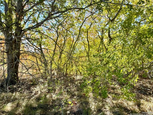 LOT 14 Northfield Subdivision unit two, Pleasanton, TX 78064
