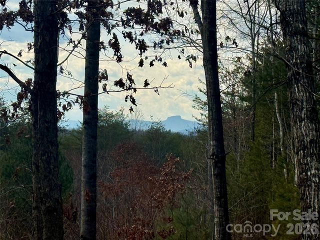 913 High Valley Way 913, Lenoir, NC 28645