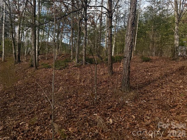 913 High Valley Way 913, Lenoir, NC 28645