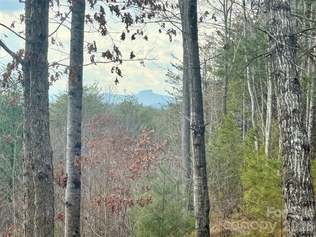 913 High Valley Way 913, Lenoir, NC 28645