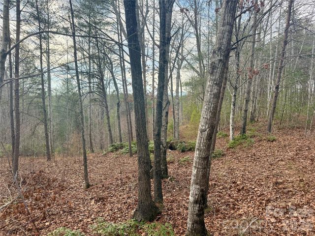 913 High Valley Way 913, Lenoir, NC 28645