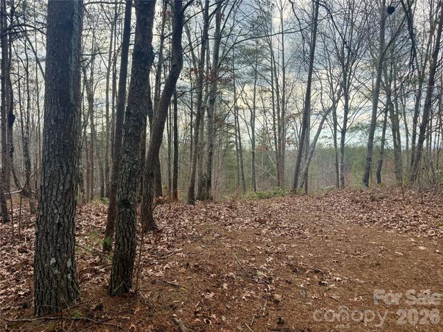 913 High Valley Way 913, Lenoir, NC 28645