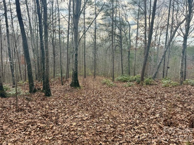 913 High Valley Way 913, Lenoir, NC 28645