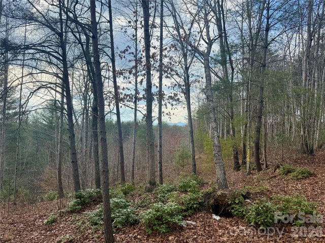 913 High Valley Way 913, Lenoir, NC 28645