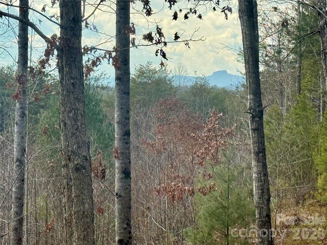 913 High Valley Way 913, Lenoir, NC 28645