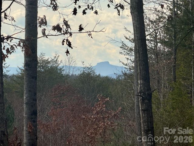 913 High Valley Way 913, Lenoir, NC 28645