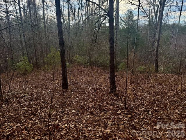 913 High Valley Way 913, Lenoir, NC 28645