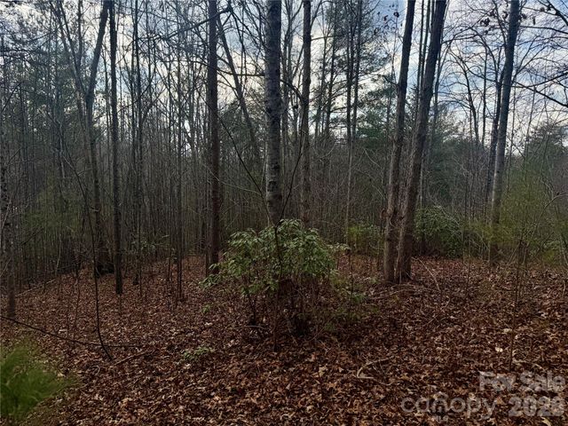 913 High Valley Way 913, Lenoir, NC 28645