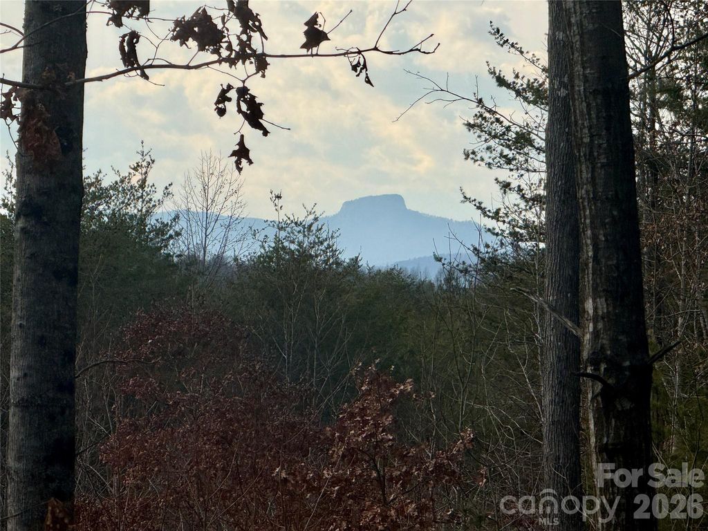 913 High Valley Way 913, Lenoir, NC 28645