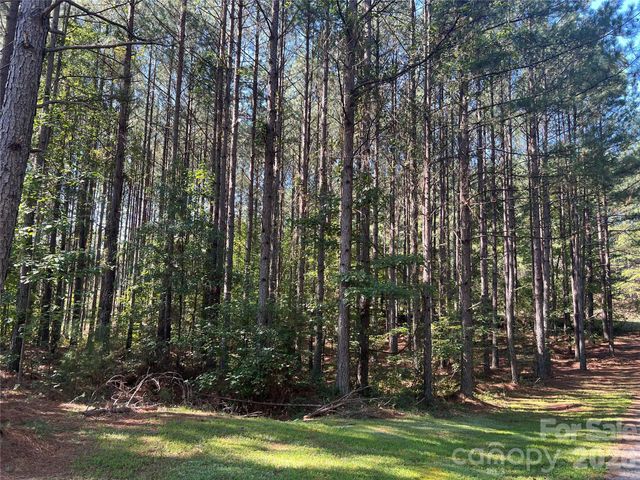 651 Dills Road, Rutherfordton, NC 28139