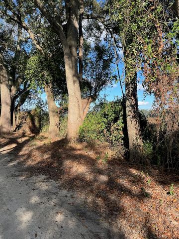 TBD N BRONSON AVENUE, Trenton, FL 32693