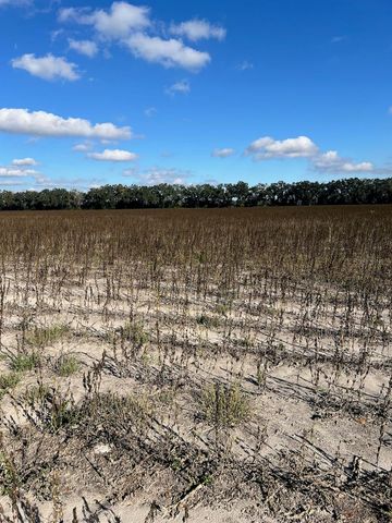 TBD N BRONSON AVENUE, Trenton, FL 32693