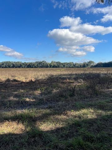 TBD N BRONSON AVENUE, Trenton, FL 32693