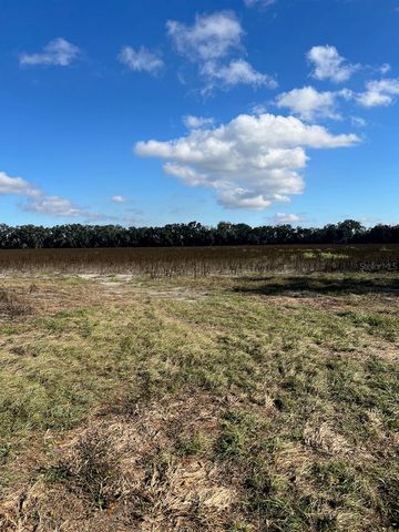 TBD N BRONSON AVENUE, Trenton, FL 32693