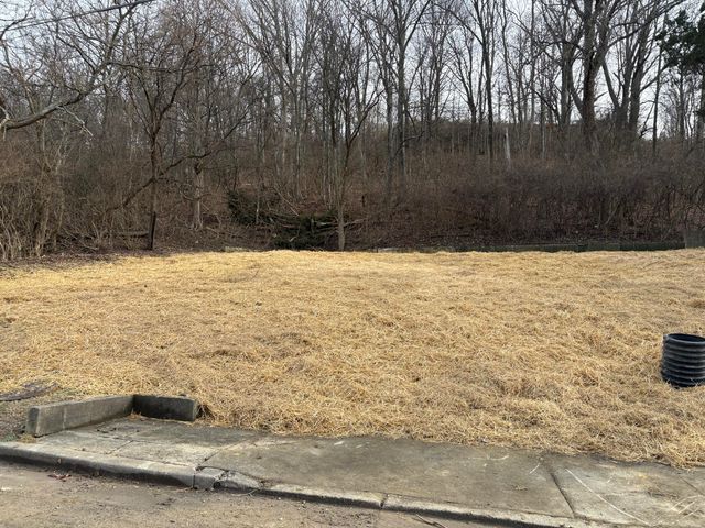 59 Ohio Avenue, Newport, KY 41071