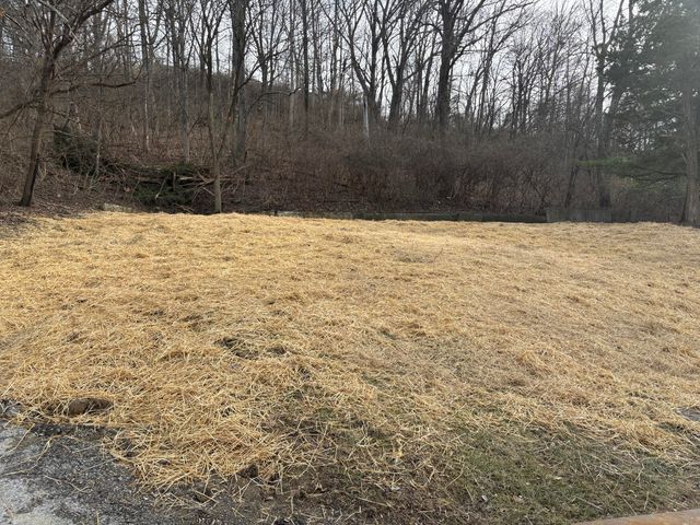 59 Ohio Avenue, Newport, KY 41071