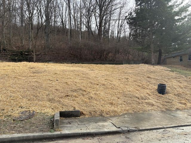 59 Ohio Avenue, Newport, KY 41071
