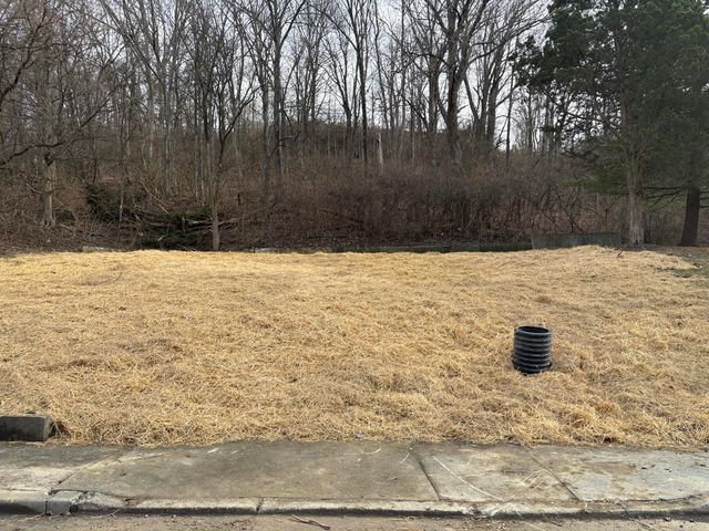 59 Ohio Avenue, Newport, KY 41071