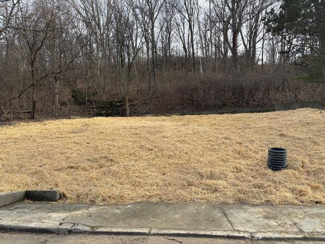 59 Ohio Avenue, Newport, KY 41071