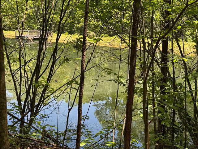 85 Moreland Trail, Blue Ridge, GA 30513