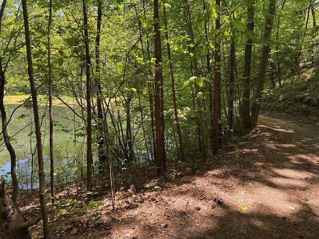 85 Moreland Trail, Blue Ridge, GA 30513