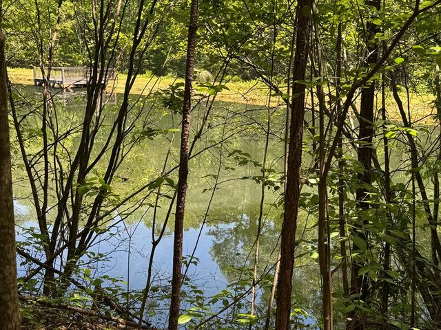 85 Moreland Trail, Blue Ridge, GA 30513