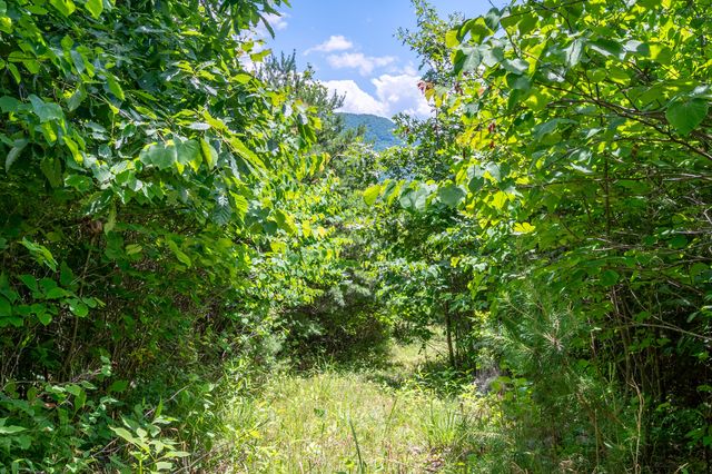 68 Paradise LN, Troutville, VA 24175