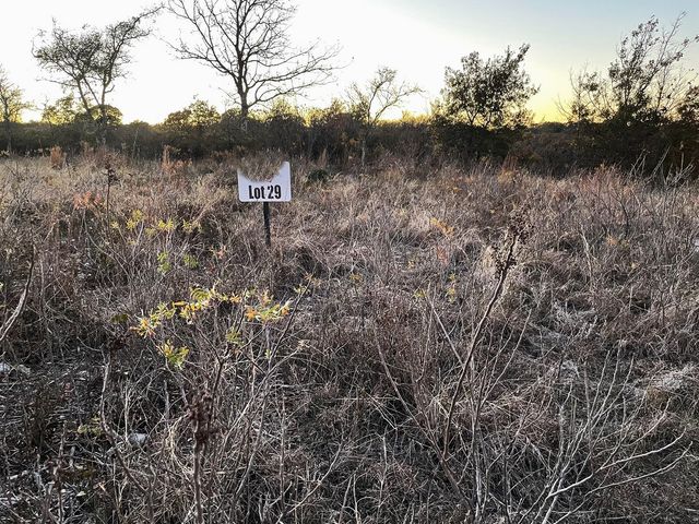 TBD Tract 29 Indian Springs, Indian Gap, TX 76531