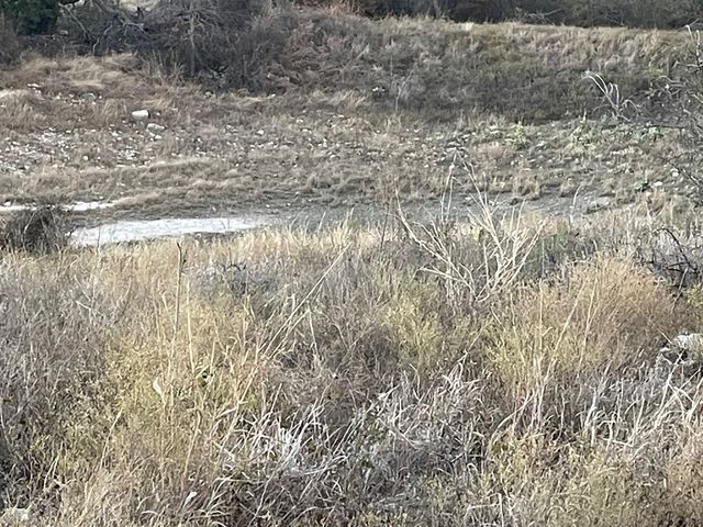 TBD Tract 29 Indian Springs, Indian Gap, TX 76531