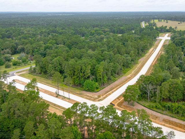 Lot 4, Block 8 Elmore Creek Dr, Willis, TX 77378