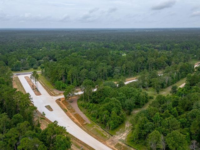 Lot 4, Block 8 Elmore Creek Dr, Willis, TX 77378