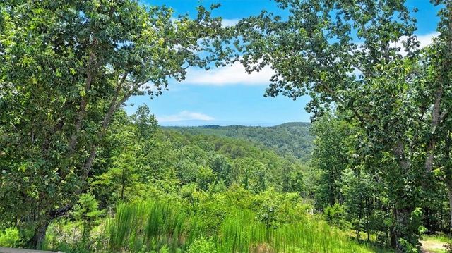 1528 Faith Court, Ranger, GA 30734
