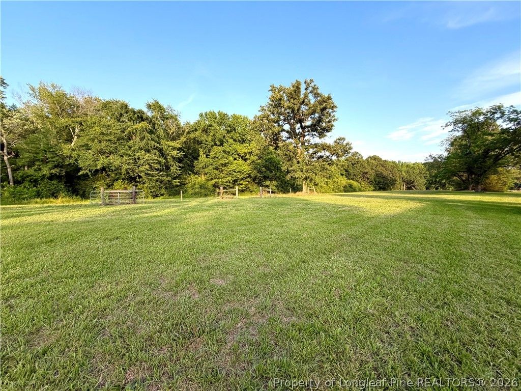 744 Patterson Road, Broadway, NC 27505 — photo 24