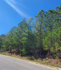 5912 HIGH FOREST DRIVE, Mccalla, AL 35111