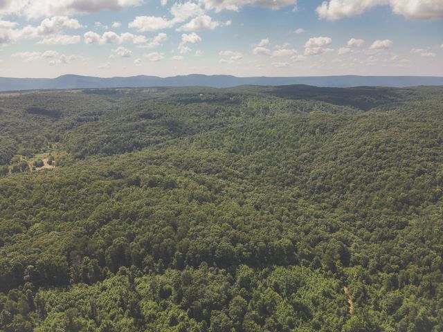 0 Grapevine Road, Crossville, TN 38572